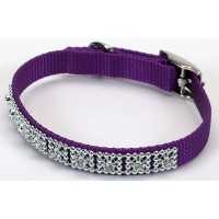 Coastal Jeweled нашийник для собак, пурпурний, 1 см. Х25 см.